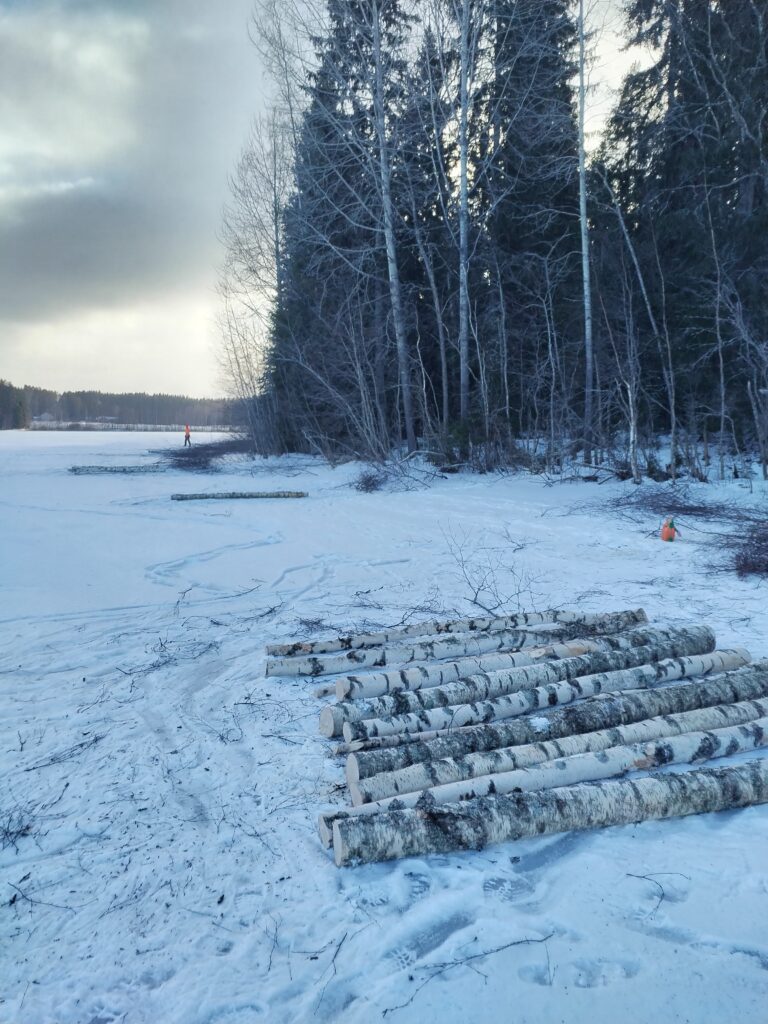 tonttihakkuut, maisemaraivaukset, maisemahakkuut, puistot, ulkoilualueet, järvenrannat, polut ja reitit, maisemallisesti merkittävät kohteet, tieurahakkuut, ensiharvennukset, siemenpuiden poistot
metsuri Keuruu Multia Petäjävesi